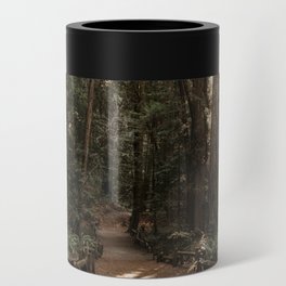 Path Through the Redwoods Can Cooler