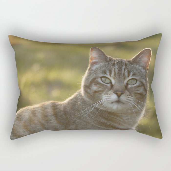 Tabby cat Rectangular Pillow
