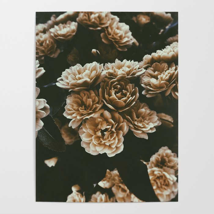 Simple Pale Muted Peony Garden Poster