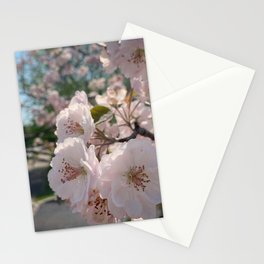 springtime Stationery Cards