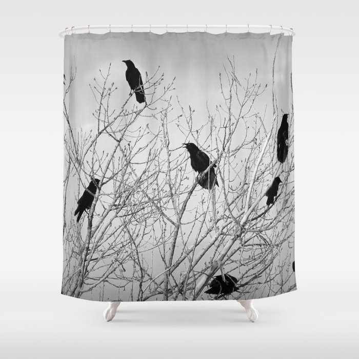 A Murder of Crows Shower Curtain