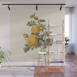 Yellow Rose Antique Botanical Illustration Wall Mural