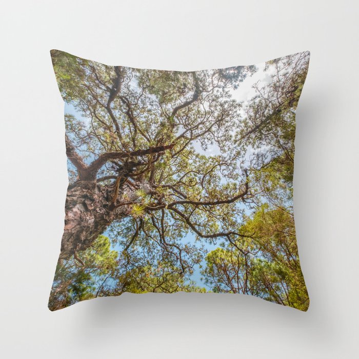 Forest, trees and blue sky - Landscape Photography  Throw Pillow