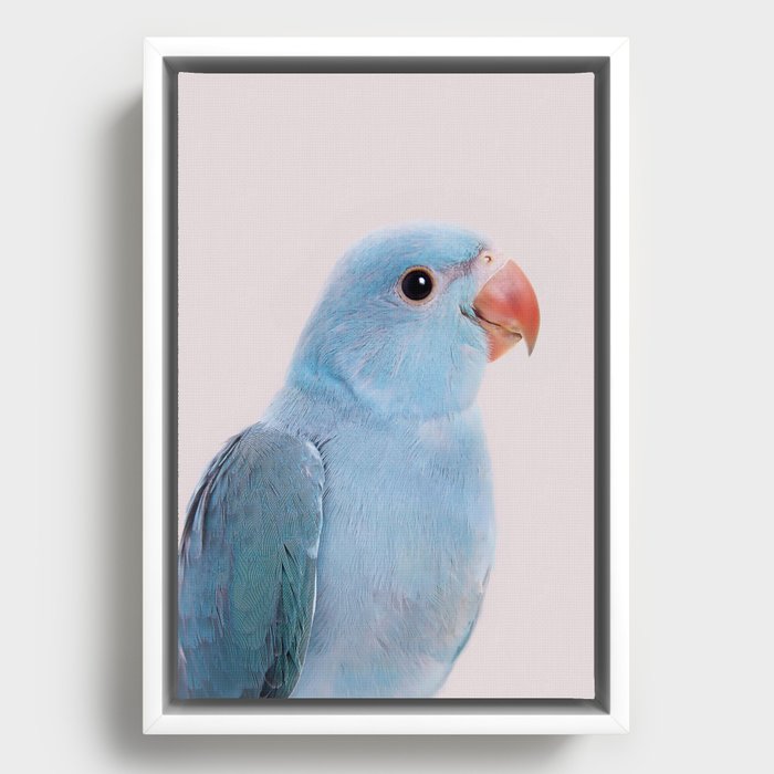 Blue Parrot Art Print by Sisi And Seb | Society6