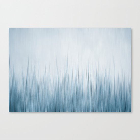 winter III Canvas Print