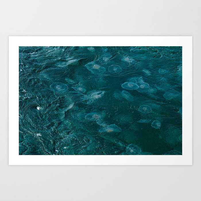 A Swarm of Jellyfish - Resurrection Bay, Alaska Art Print