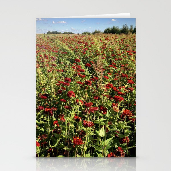 Rubies Stationery Cards