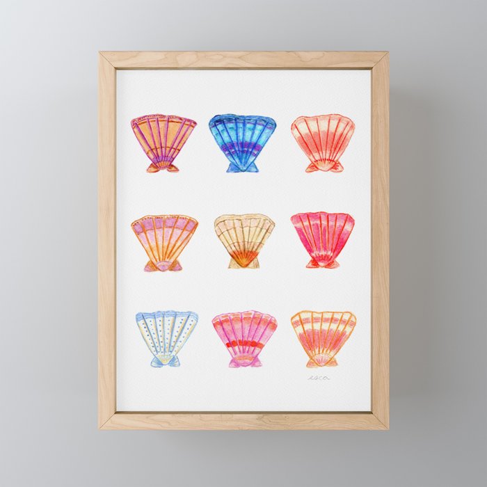 Tropical Seashells  Framed Mini Art Print