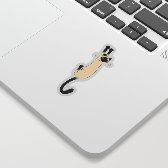 Siamese Cat Hanging On Sticker