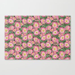 Wild roses pink - green background Canvas Print
