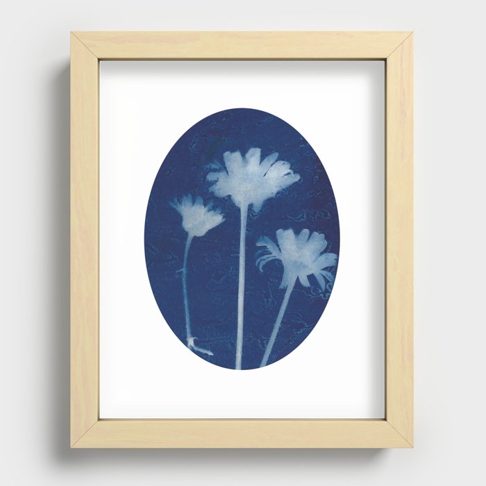 Jackie Partridge Art- Daisies Cyanotype Recessed Framed Print