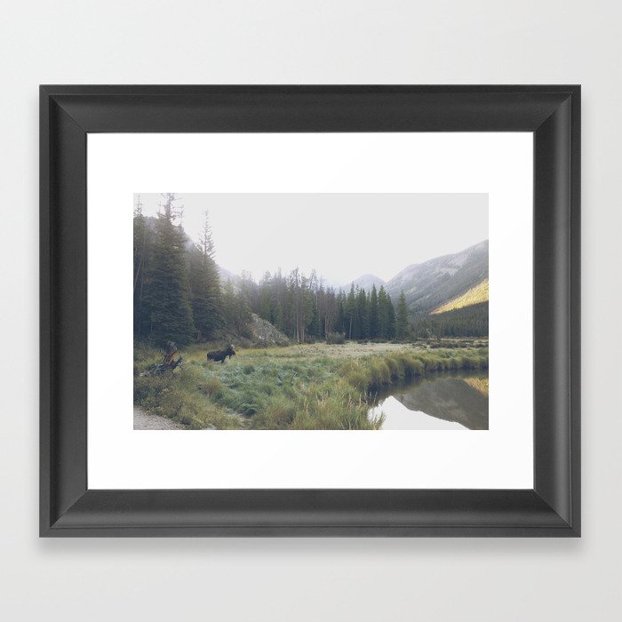 Morning Meadow Moose Framed Art Print