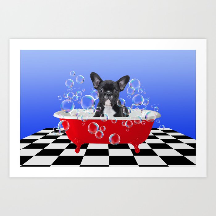 French bulldog hotsell in bathtub
