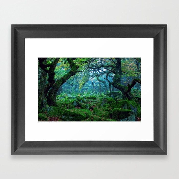 Enchanted forest mood Framed Art Print