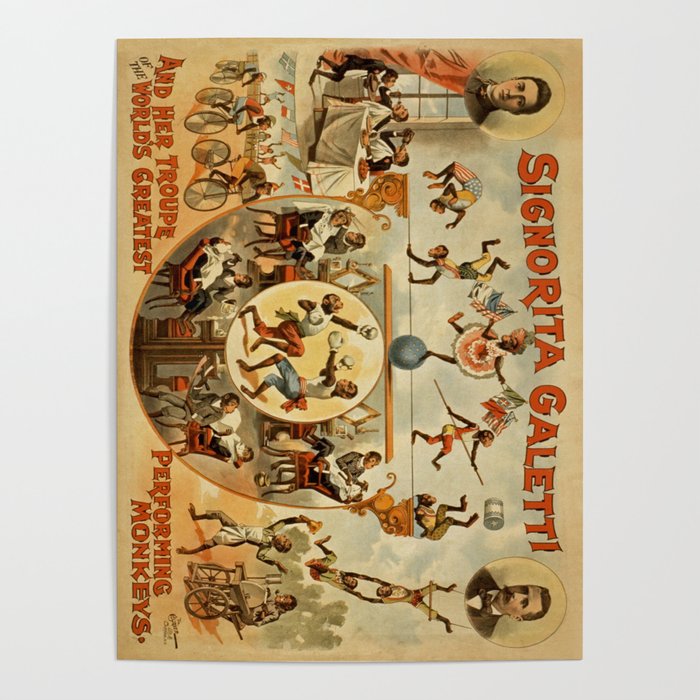 Vintage poster - Performing Monkeys Poster