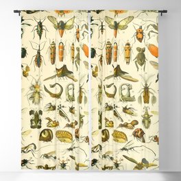 Adolphe Millot "Insectes" Nouveau Larousse 1905 Blackout Curtain