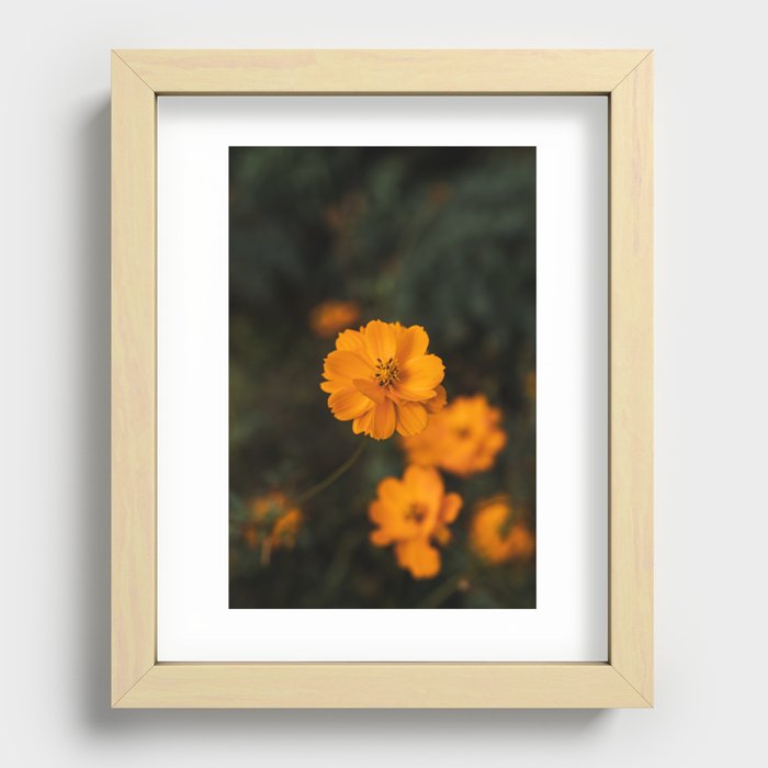 Flowers Recessed Framed Print