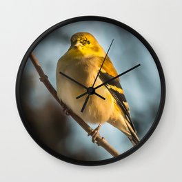 Goldfinch in Winter Wall Clock