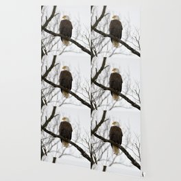 Eagle Wallpaper