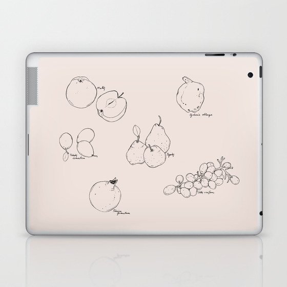 Fruit Laptop & iPad Skin