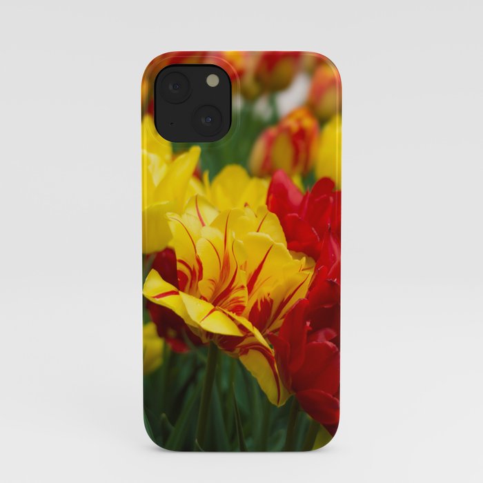 Tulips 1 iPhone Case