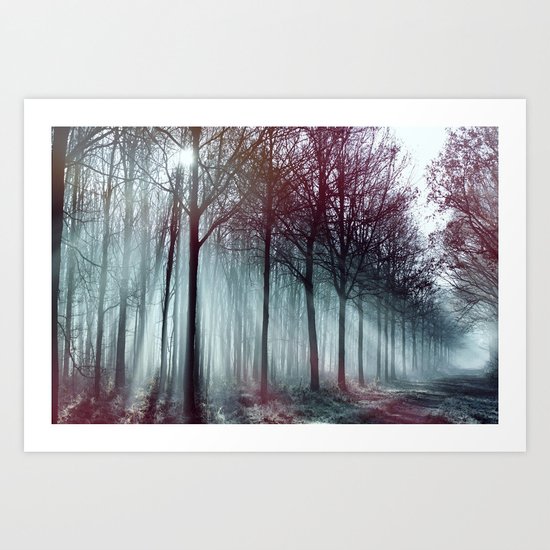 Mysterious Forest Art Print