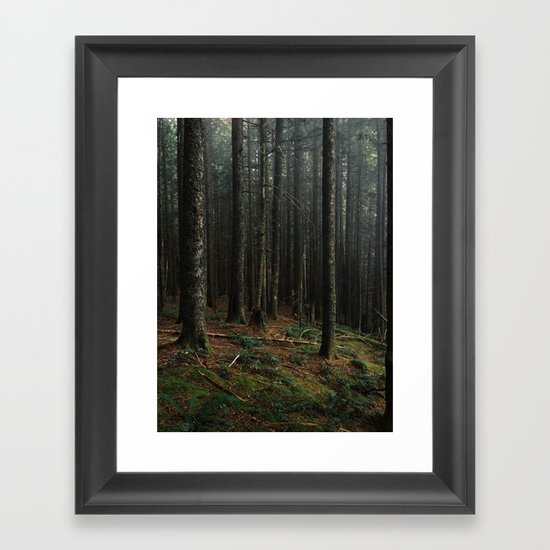 Gorge Woods Framed Art Print