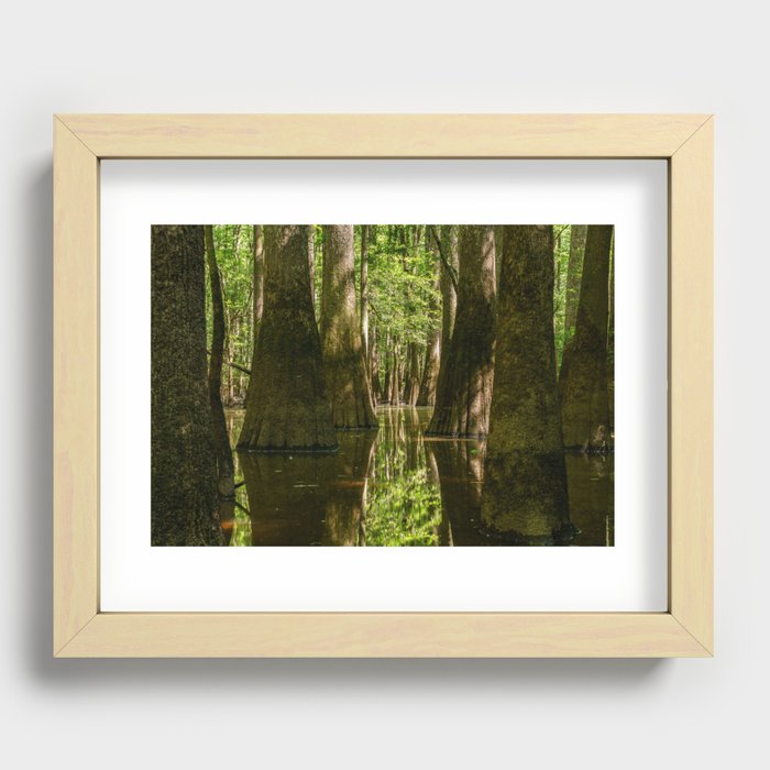Cypress Swamp  Recessed Framed Print