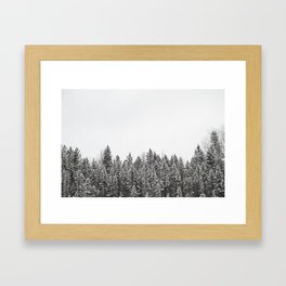 Algonquin Trees Framed Art Print