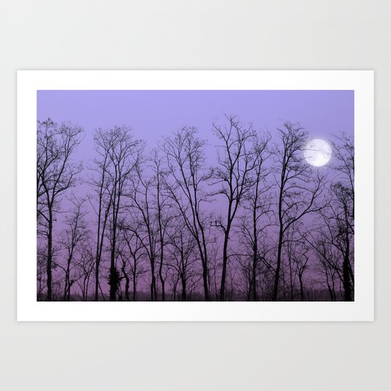 Moonlight Art Print