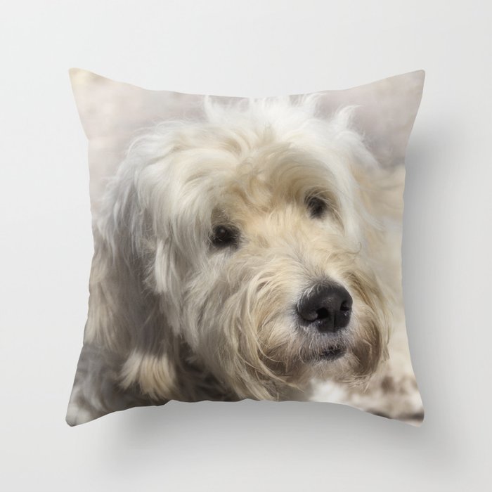 Dog Golden Doodle Throw Pillow