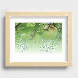 Appletree Recessed Framed Print
