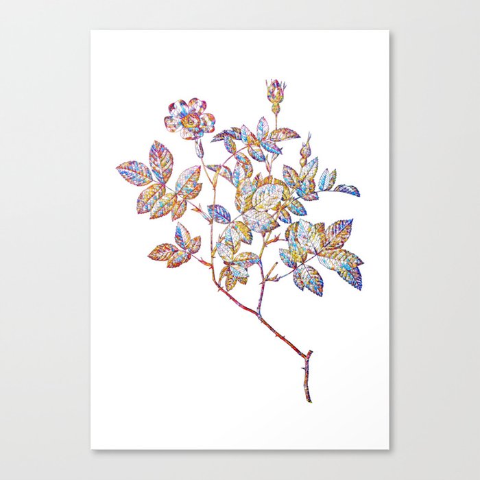 Floral Rosebush Mosaic on White Canvas Print