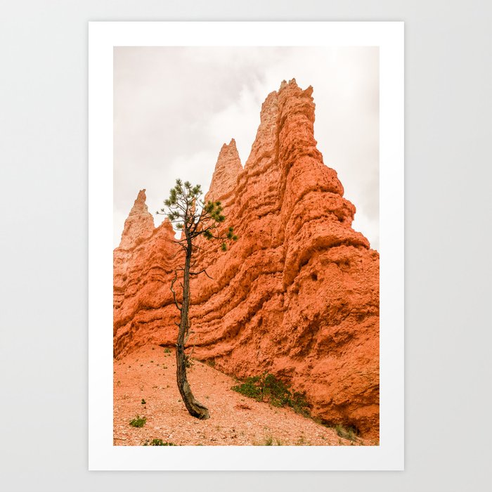 Queens Garden Trail in Bryce Canyon National Park Art Print