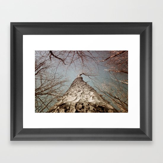 Tree Framed Art Print