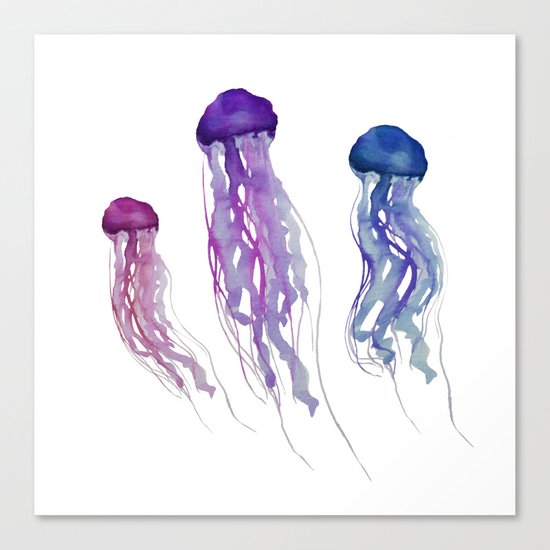 Jellyfish Canvas Print