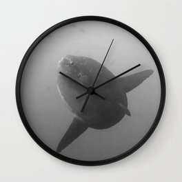 Mola mola sunfish in B&W Wall Clock