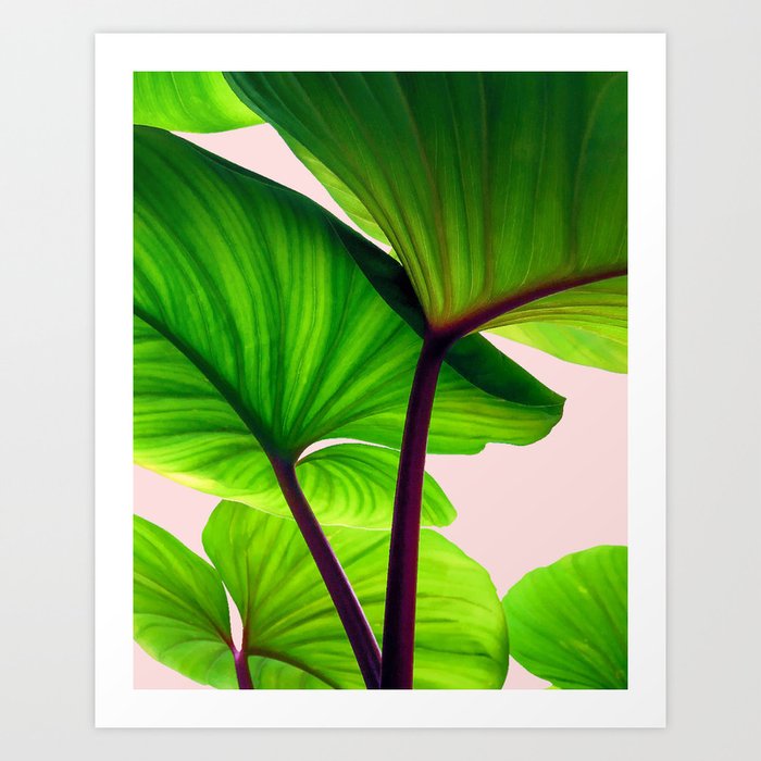 Charming Sequence Nature Art #society6 #lifestyle #decor Art Print