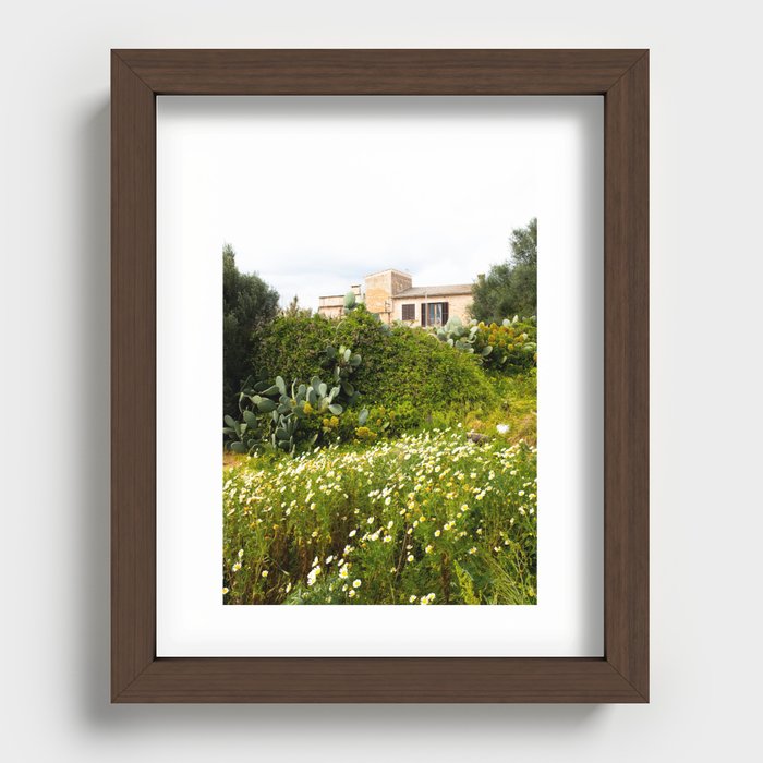 Field of Daisies & Cactus  Recessed Framed Print