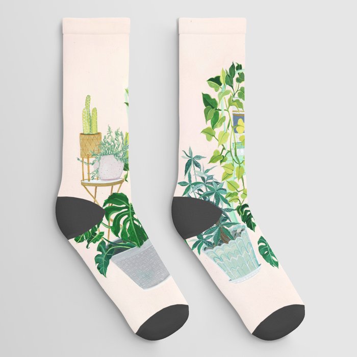 House plants Socks