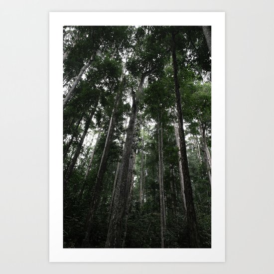 Ascending Art Print