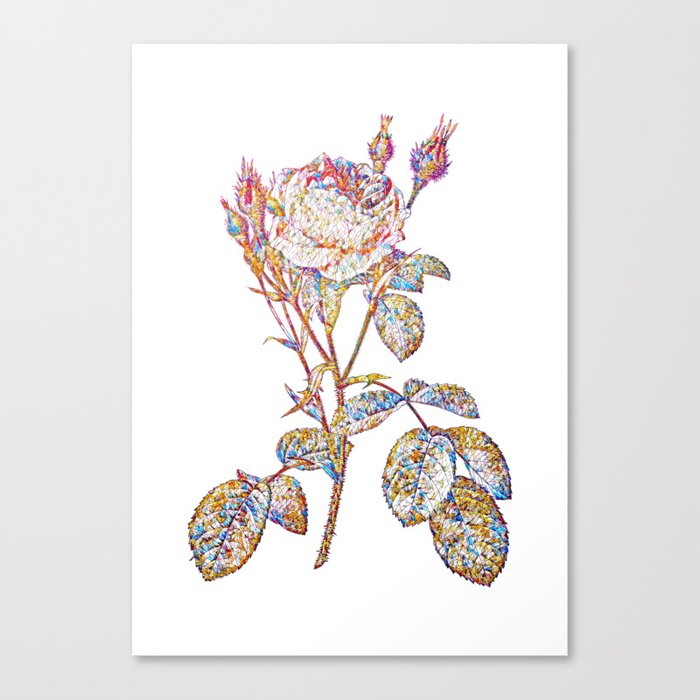Floral Double Moss Rose Mosaic on White Canvas Print