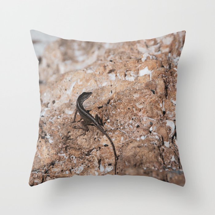 Lizard Rock Colorized Reptile / Animal / Wildlife Photograph Throw Pillow and More