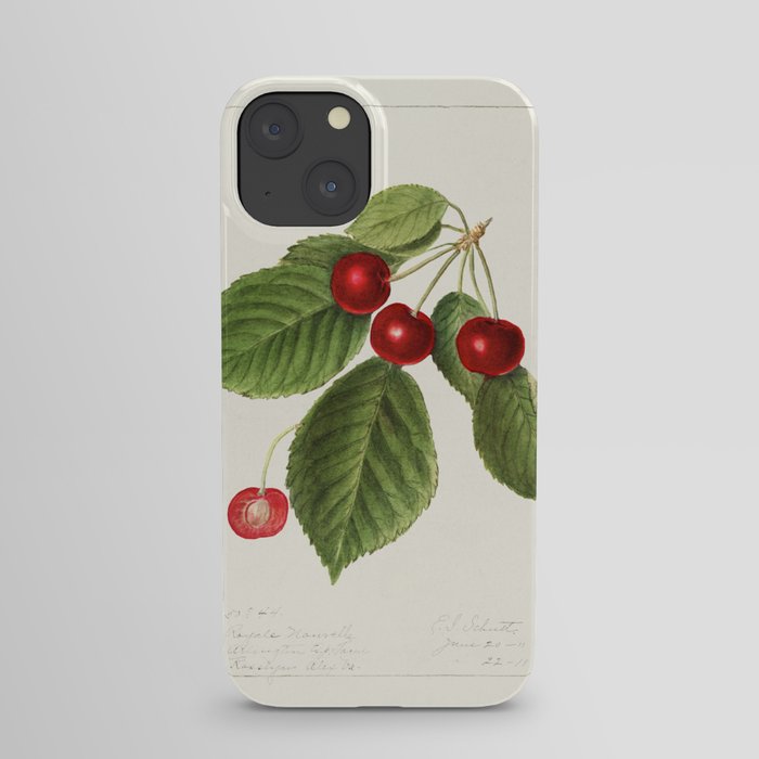 Cherries (Prunus Avium) (1911) by Ellen Isham Schutt. 2 iPhone Case