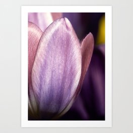 Purple Tulip Detail I Art Print