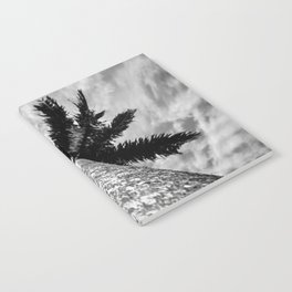 Palmeira Notebook