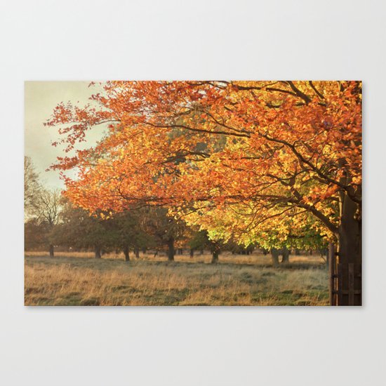 Autumn II Canvas Print