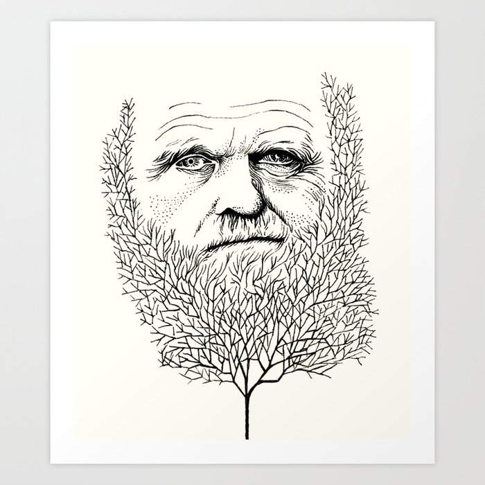darwins tree of life sketch
