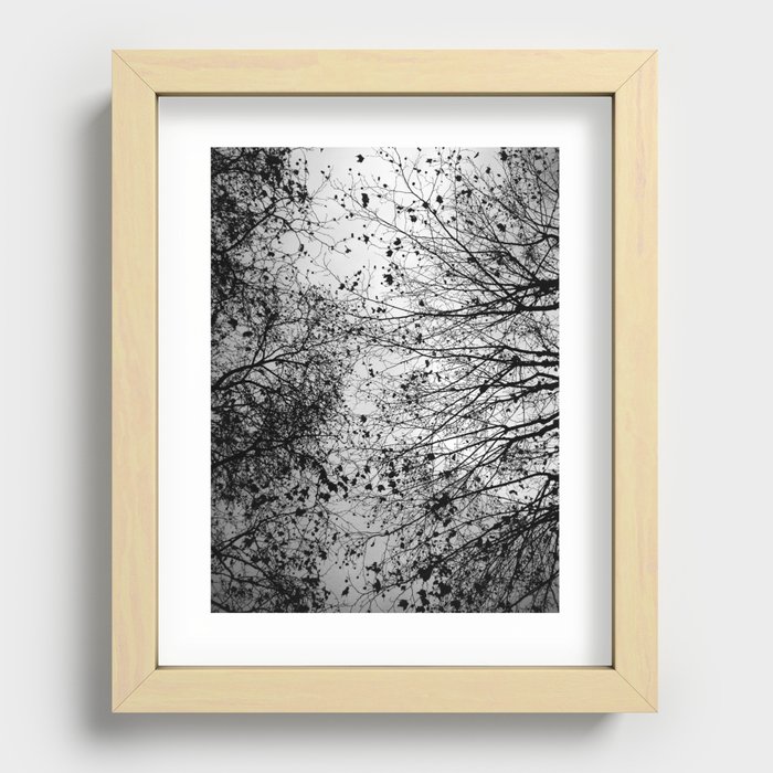 Branches & Leaves Recessed Framed Print