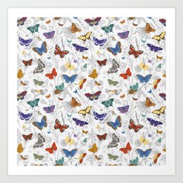 Magical Wild Butterflies Cottage Garden Floral Art Print